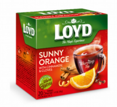 Tēja Loyd Pyramids ar apelsīnu un kanēli 20x1.41g (30.12.2025) PL