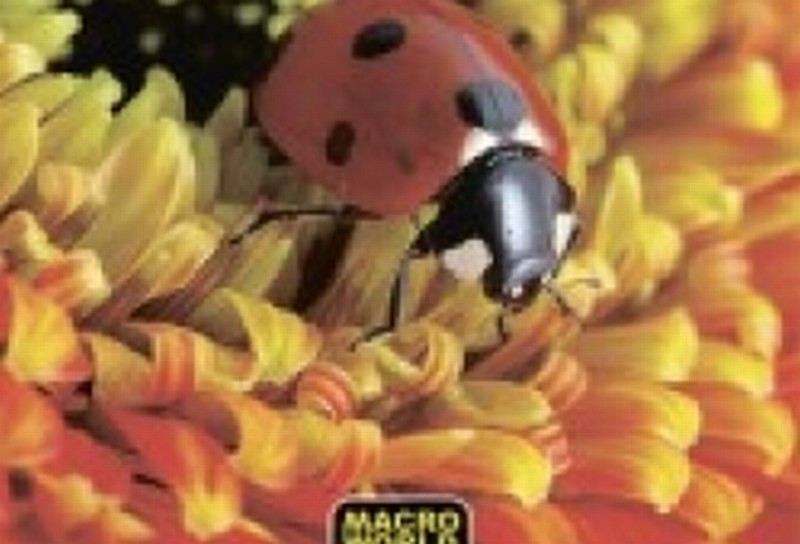 Klade Macro World 48 lpp rūtiņu Krievija