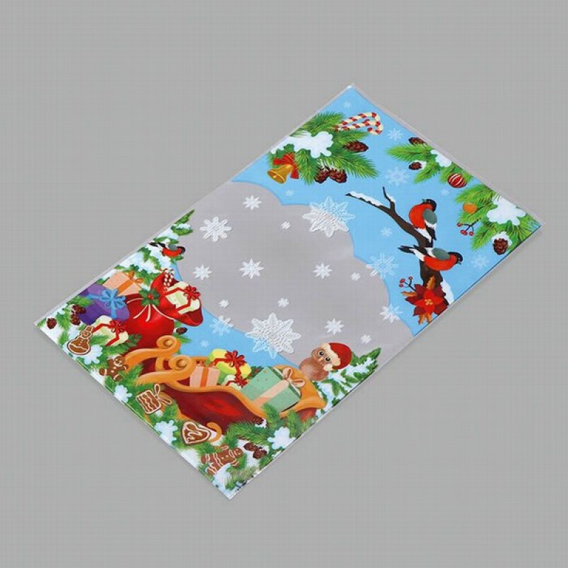 Ziemassvētku Dāvanu maisiņš 20*33+3FD Putniņi 1/100