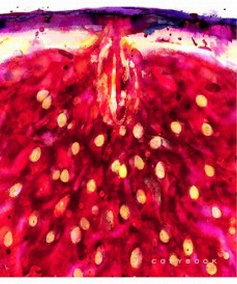 Klade 48 lpp Copybook