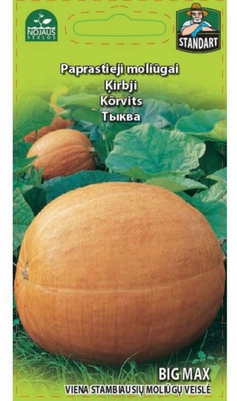 Sēklas Ķirbji 2g (12.2027) 1/20  Lietuva