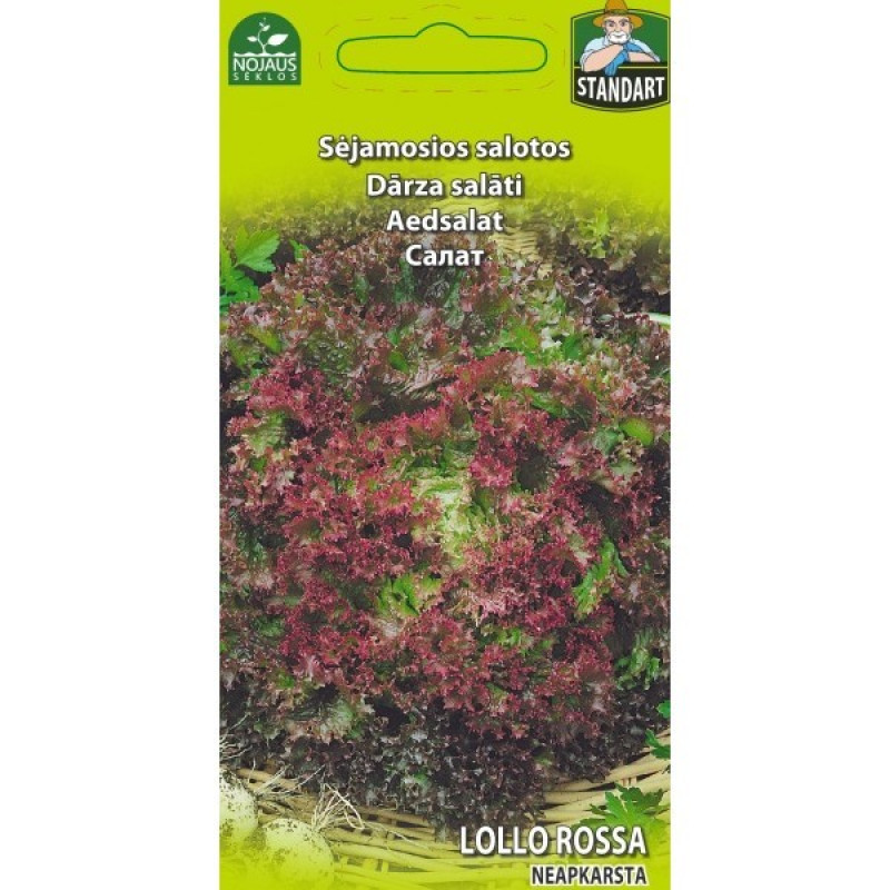 Sēklas Salāti Lollo Rossa 1g 1/20 (12.2028) Lietuva