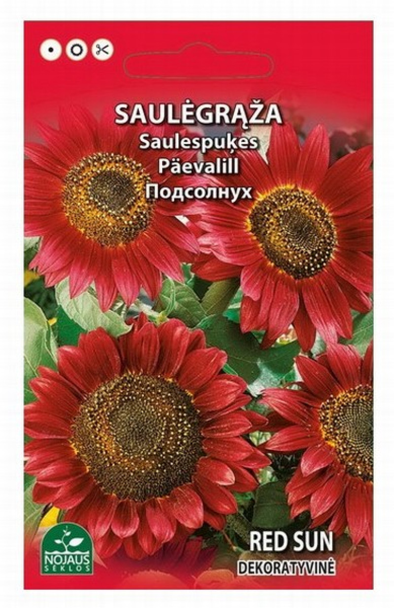 Sēklas Saulespuķe Red Sun 1g 1/20