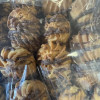 Cepumi Vaniļas 450g LV un KO (25.10.25) Latvija