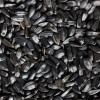 Saulespuķu sēklas melnas nelobītas (lielās) 25kg