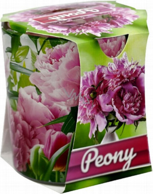 Svece Peonija aromātiska stiklā 1/12 Polija