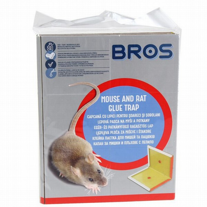 Peļu žurku slazds ar līmi Polija