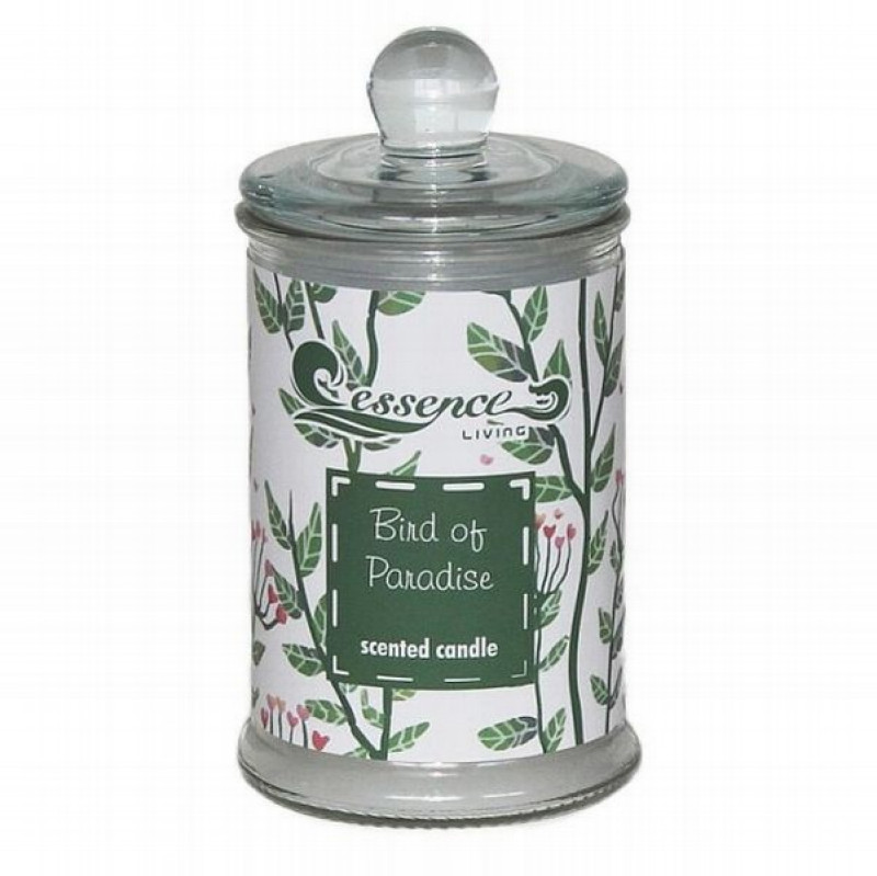 Svece Bird of paradise aromātiska stiklā 1/12