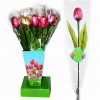 Šokolādes konfekteTulip in vase 18g 1/18(28.09.28)Ķīna