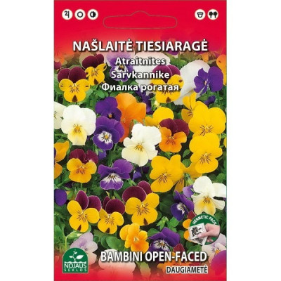 Sēklas taisnragainā atraitnīte