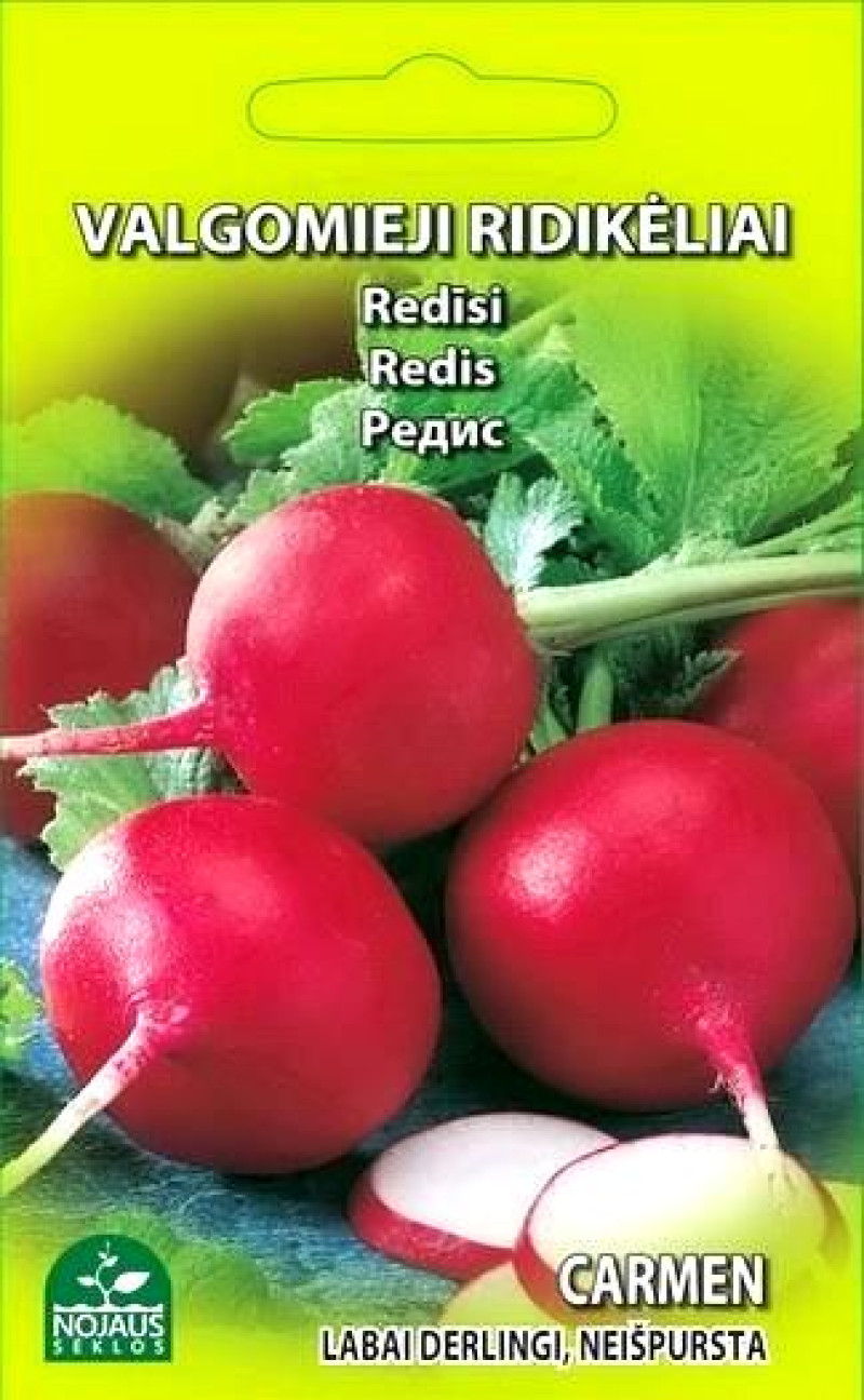 Sēklas Redīsi Carmen 3g 1/20 (12.27)