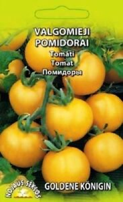 Sēklas Tomāti Goldene Konigin 0.3g