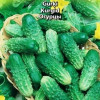 Sēklas Gurķi Cornichon de Paris 1g
