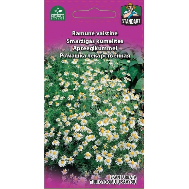 Sēklas Saržīgās kumelītes 0.2g