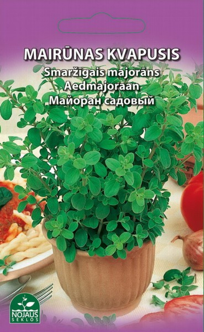 Sēklas Smaržīgais majorāns 0.3g (12.2027)