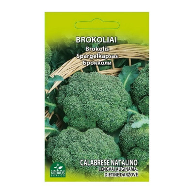 Sēklas Brokolis Groene Calabrase