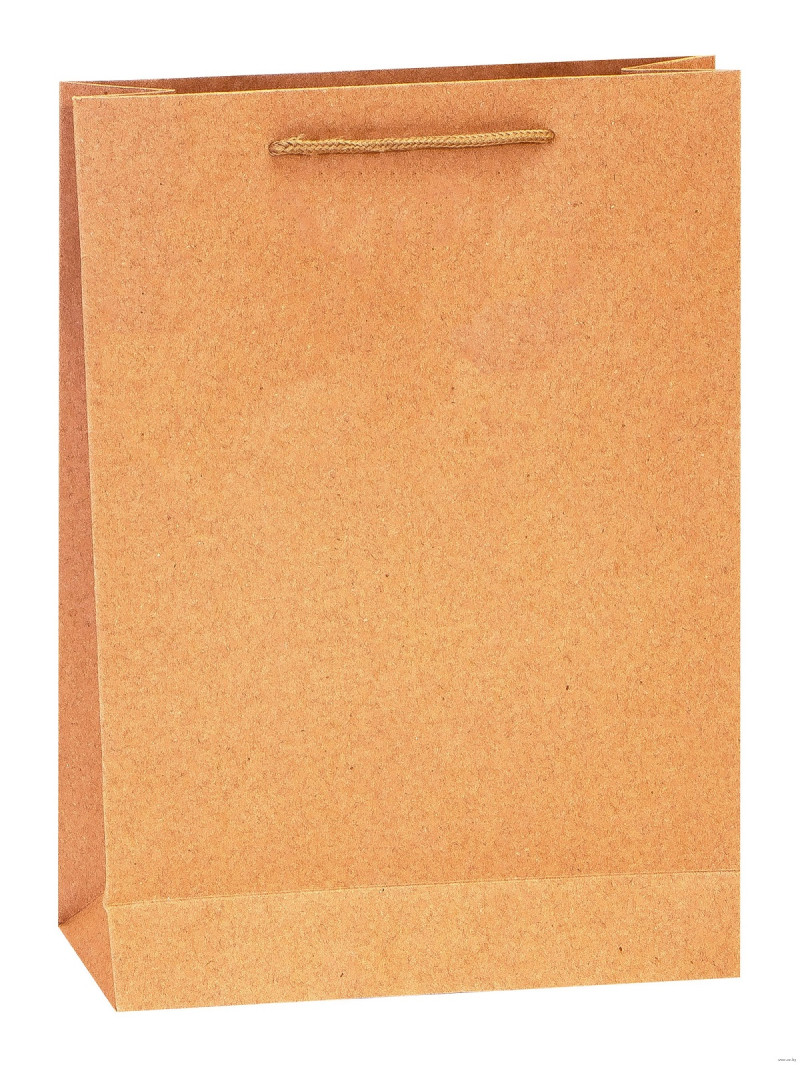 Dāvanu maisiņš Kraft 24x19x6cm Ķīna