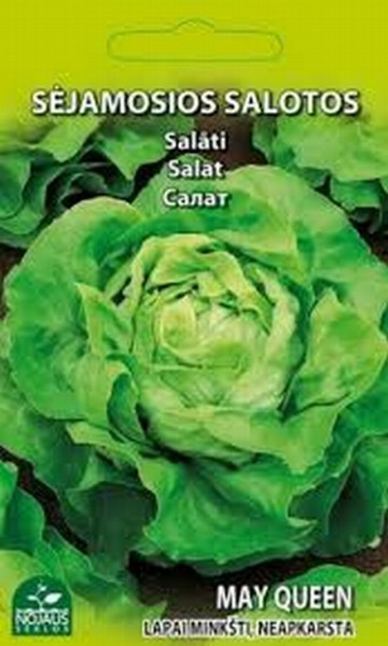 Sēklas Salāti My Queen 2g 1/20 (12.2027)  Lietuva