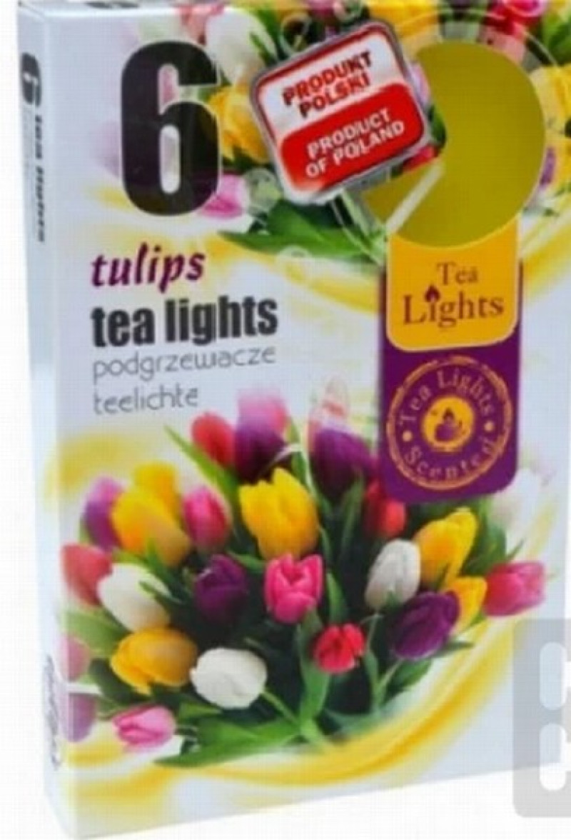 Svece Tulips aromātiska tējas 6gb Polija