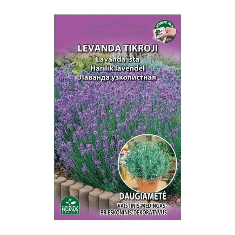 Sēklas Lavanda Daugiamete 0.2g (12.2027) Lietuva