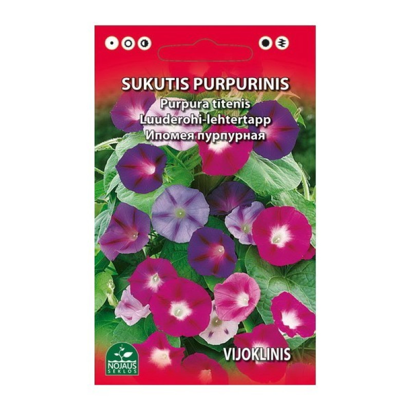 Sēklas Purpura tītenis 2g (12.2027) 1/20