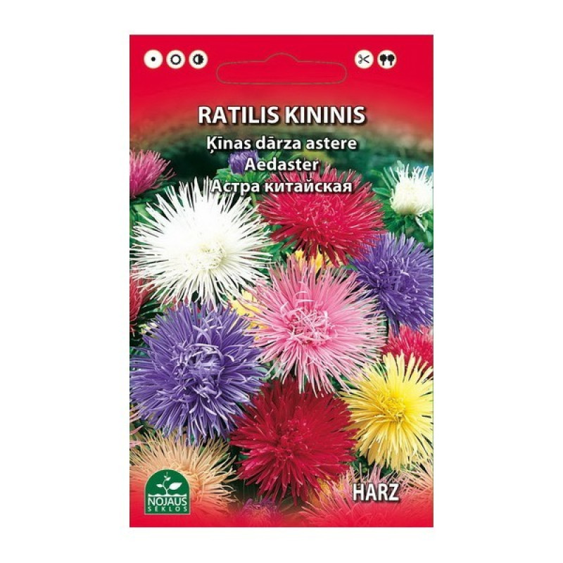 Sēklas Ķīnas dārza asteres Harz 0.5g 1/20 (12.2028)