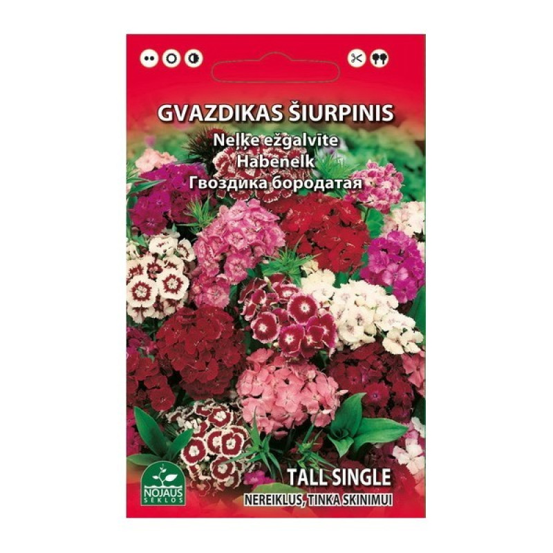 Sēklas Puķe Neļķe ežgalvīte 0.5g 1/20 (12.2027) Lietuva