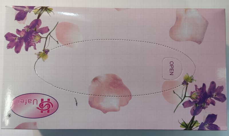 Salvetes Family Fivests 2-kārtu 150gb kastē