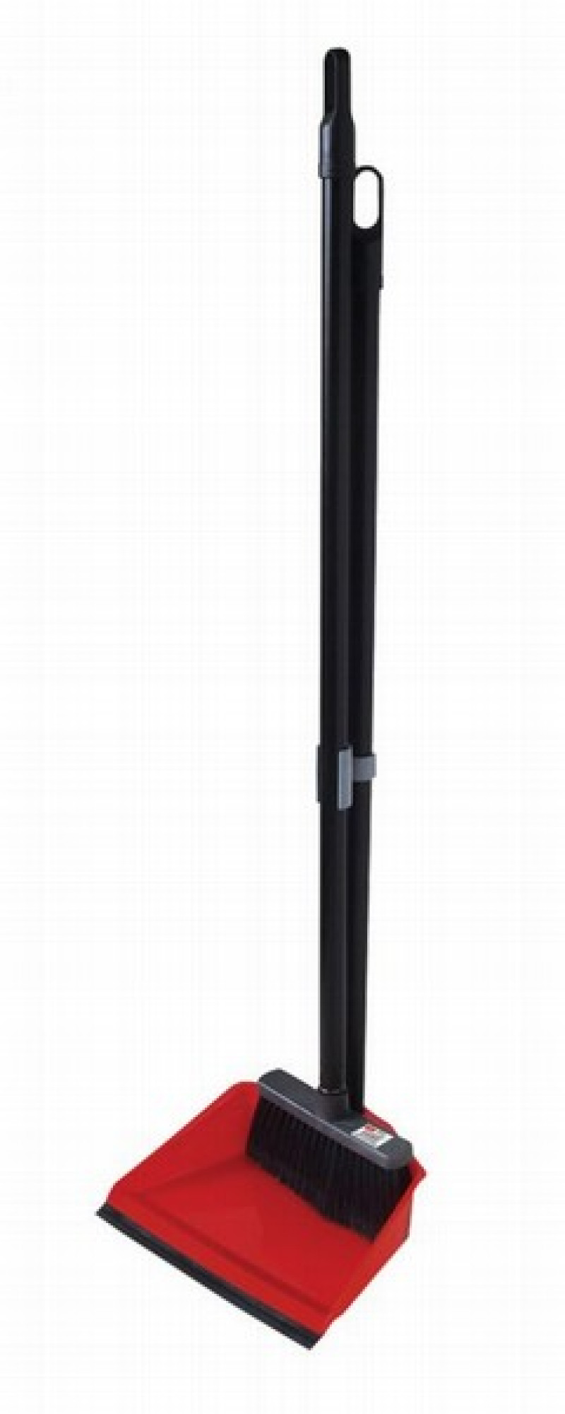 Liekšķere ar birsti un kātu Anna Zaradna